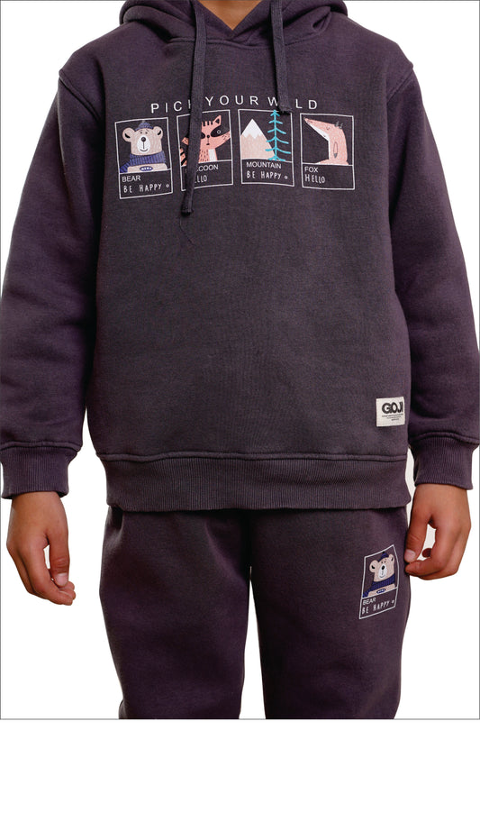 Kids cozy hoodie & jogger set
