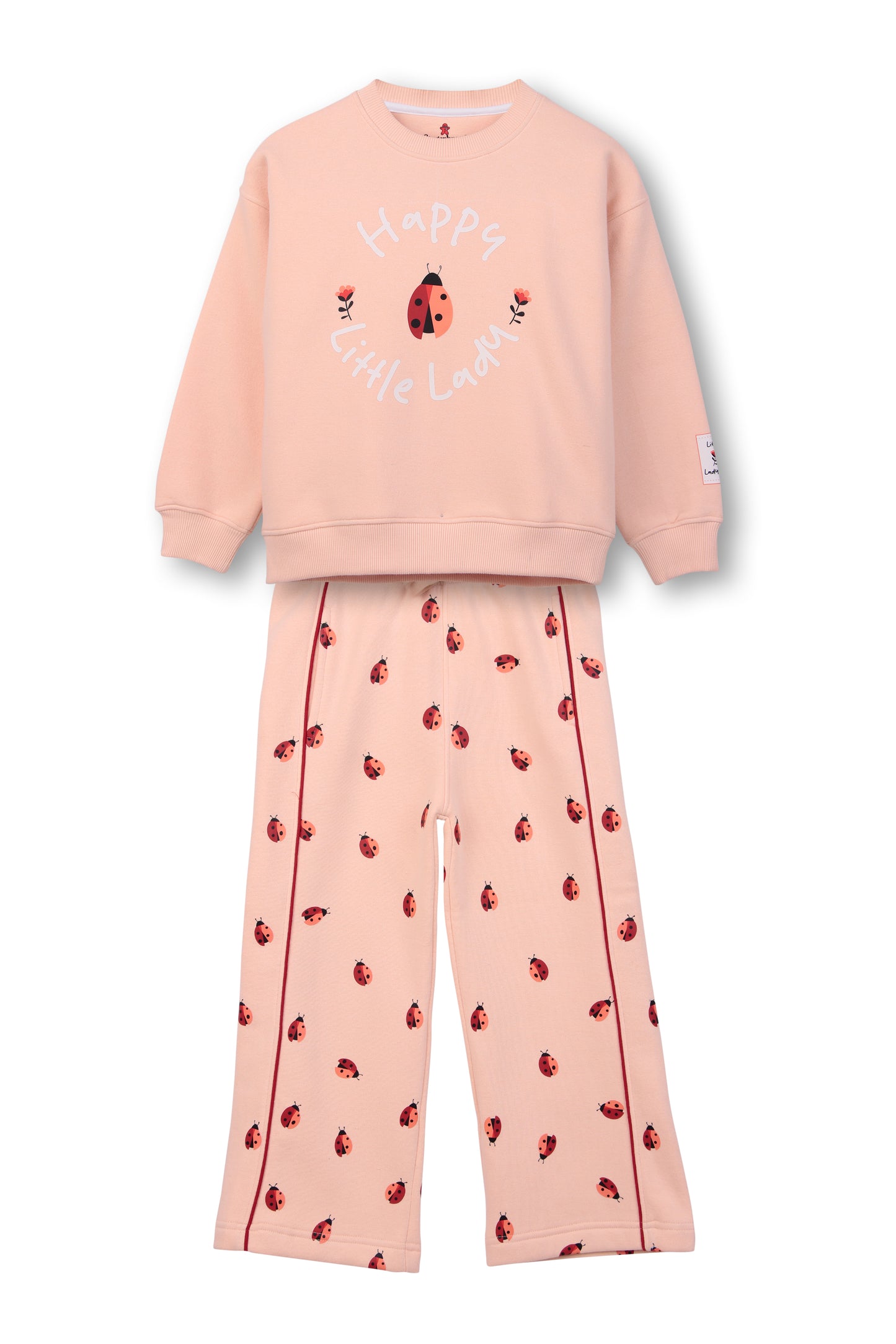 Pink Ladybug Print Sweatshirt and Joggers Set