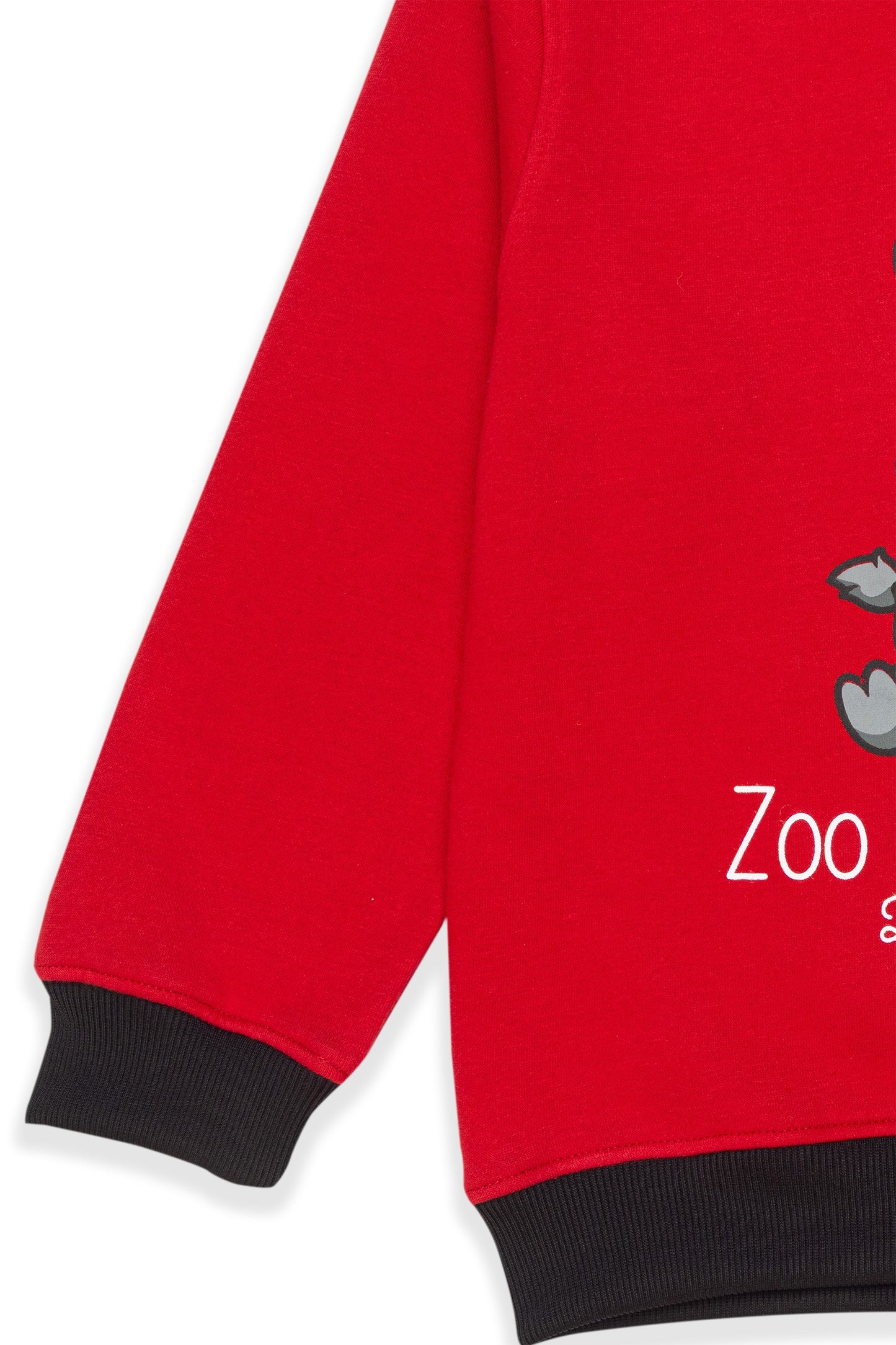 Red Zebra Sweatshirt & Striped Jogger Set