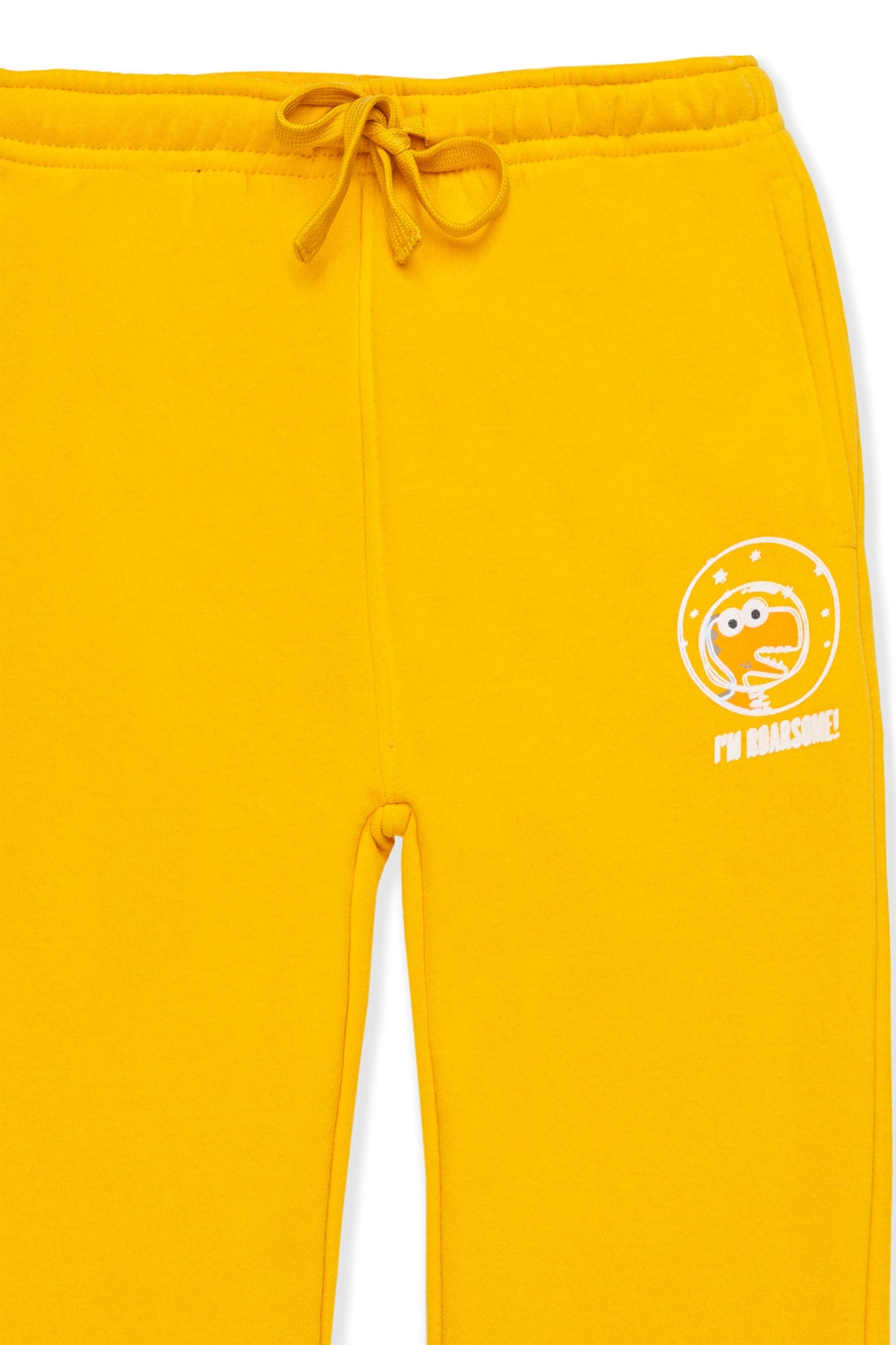 Yellow Dinosaur Adventure Hoodie Set