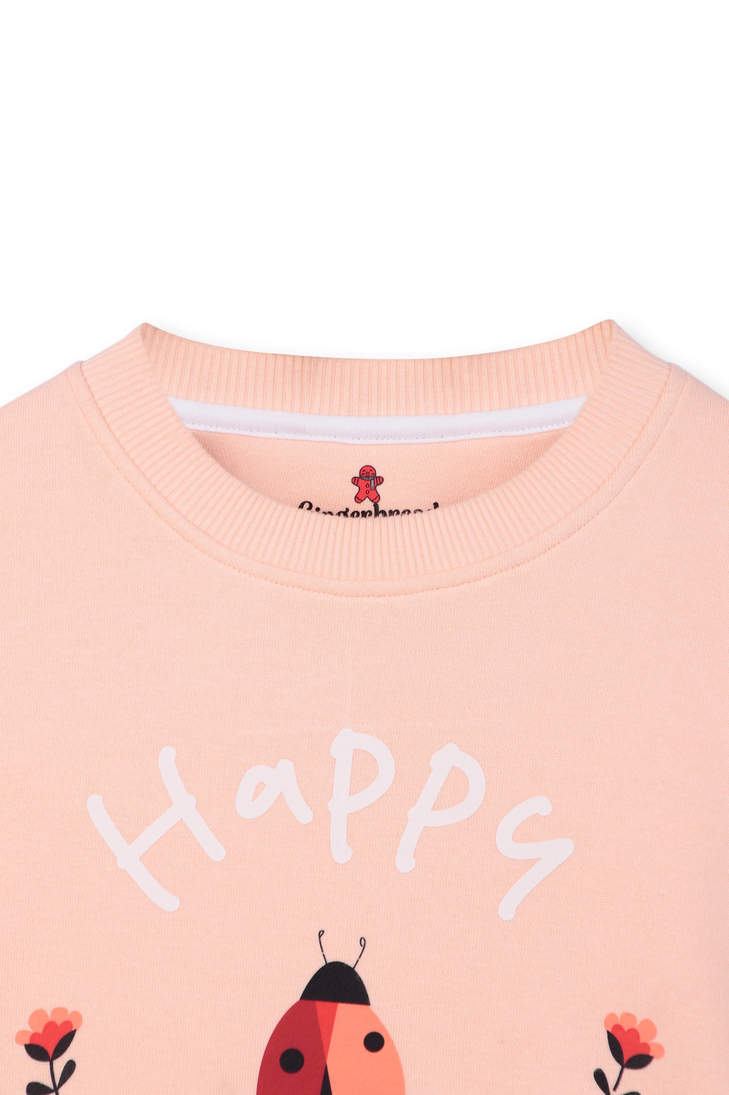 Pink Ladybug Print Sweatshirt and Joggers Set