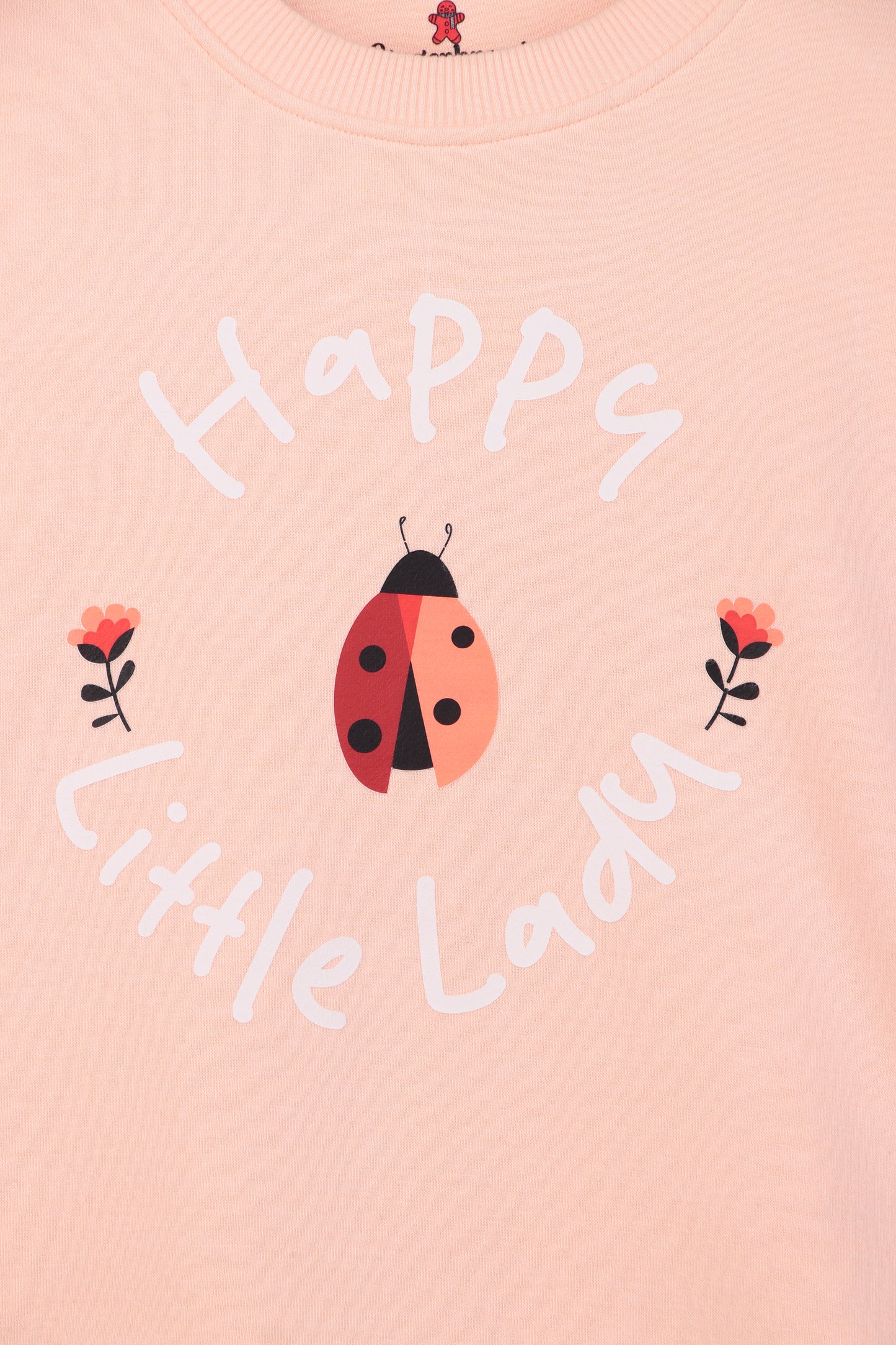 Pink Ladybug Print Sweatshirt and Joggers Set