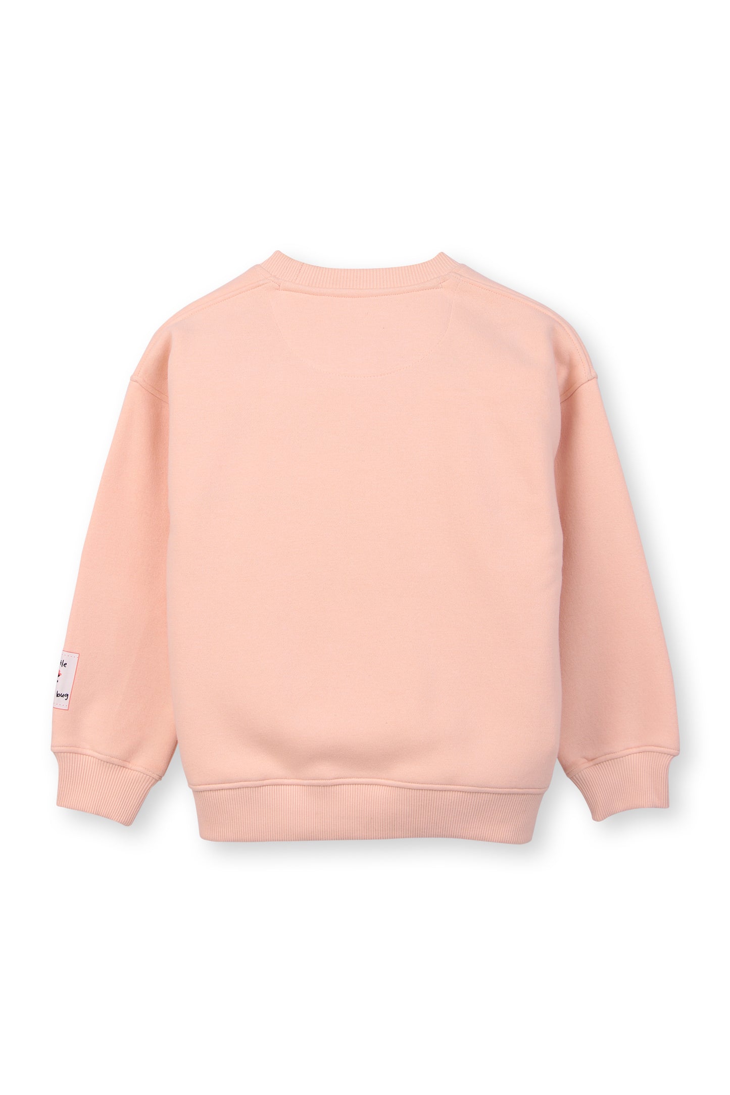 Pink Ladybug Print Sweatshirt and Joggers Set