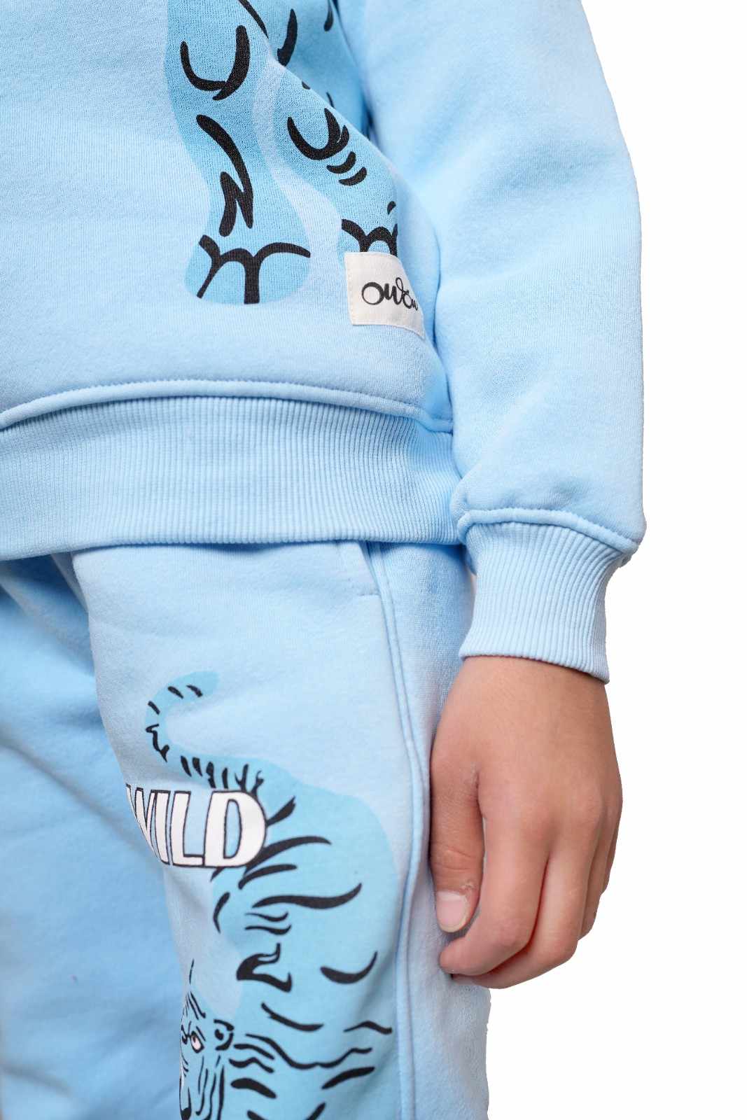 Wild tiger graphic co-ord set